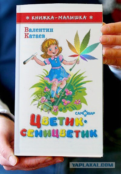 Фотожаба: Книги!