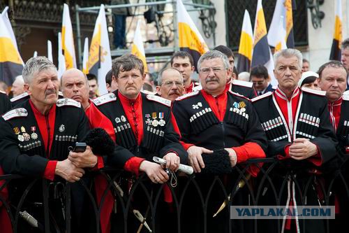 Казаки Волгограда спешат на помощь Севастополю!