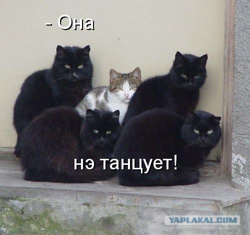Импровизация, бачата