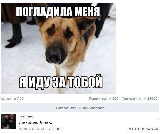 Смешные комментарии из социальных сетей 13.11.14