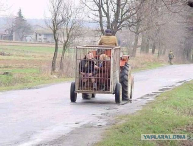 Весёлые картинки