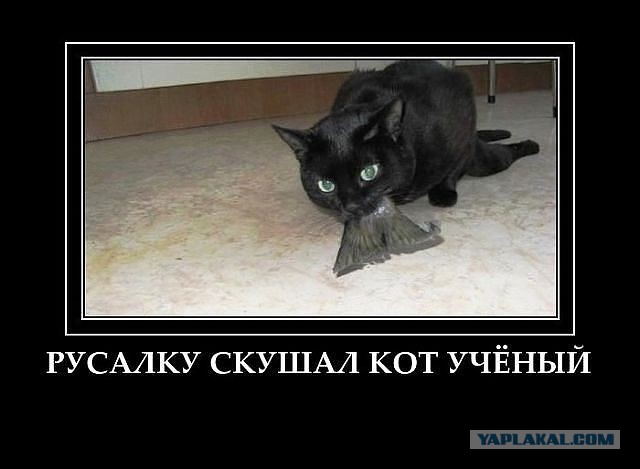 Весёлое из сети