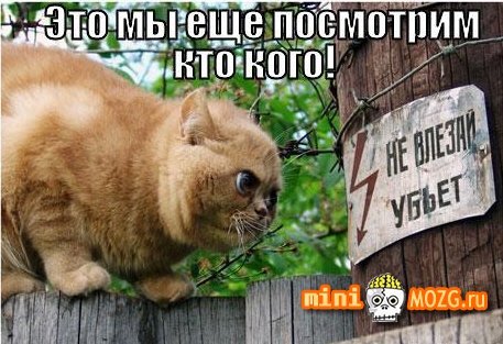 Очередная порция картинок из сети