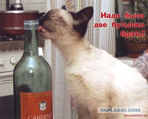 Не пейте алкоголь!