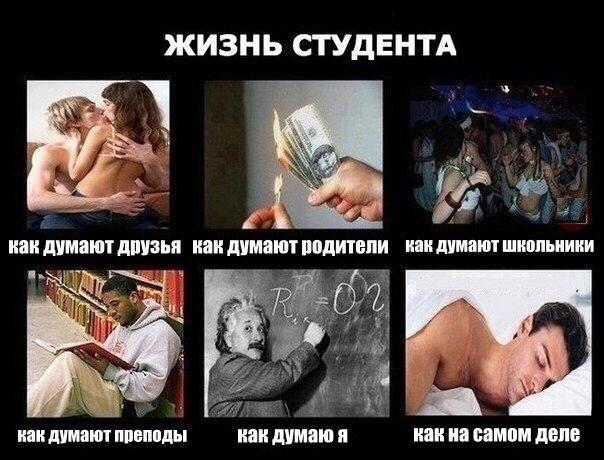Веселости которые встретились сегодня