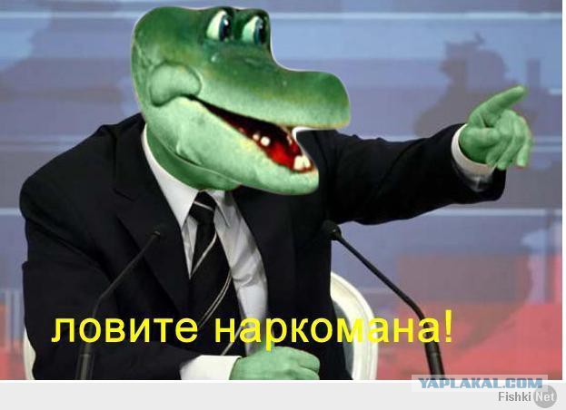 33 года под ЛСД