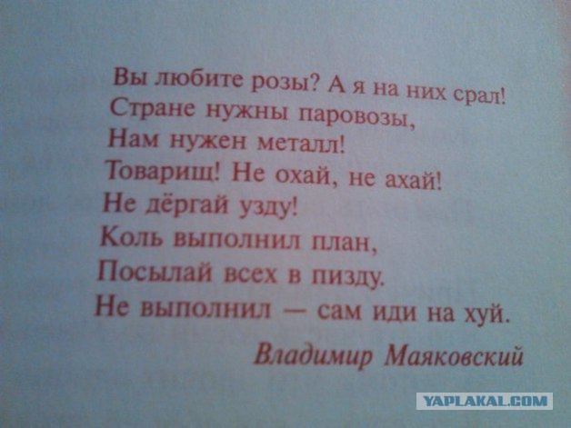 Мои розы