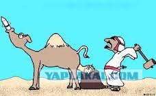 Фотографии из архива ветерана афганской войны