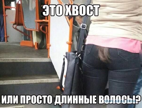 Подборка картинок