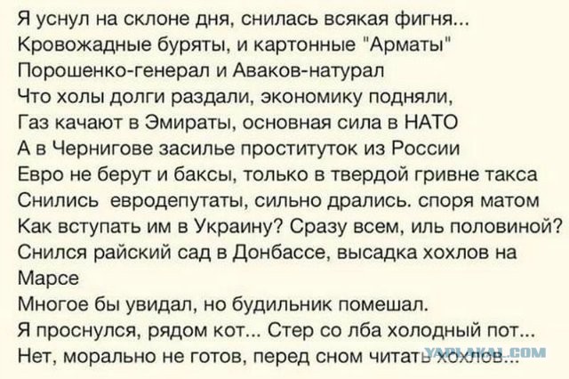 Прикольные фото и картинки