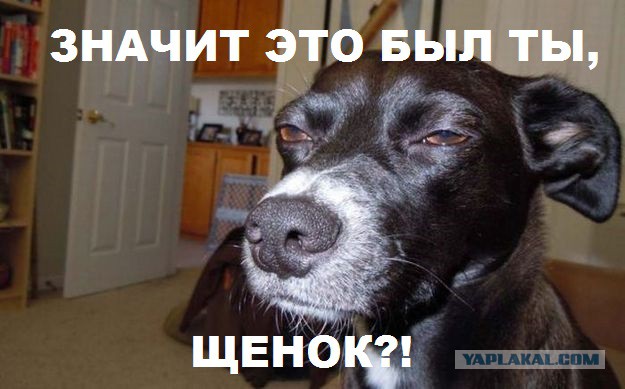 Когда ночью не спится