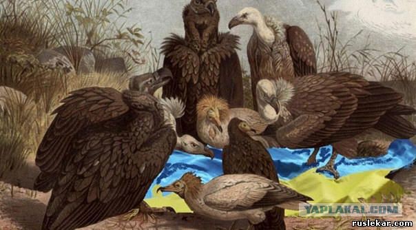 10 политических картинок часть 19
