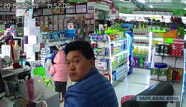 За что я люблю китайцев