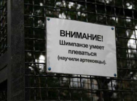 ОБЪЯВЛЕНИЯ. На стенах, в газетах, афиши.
