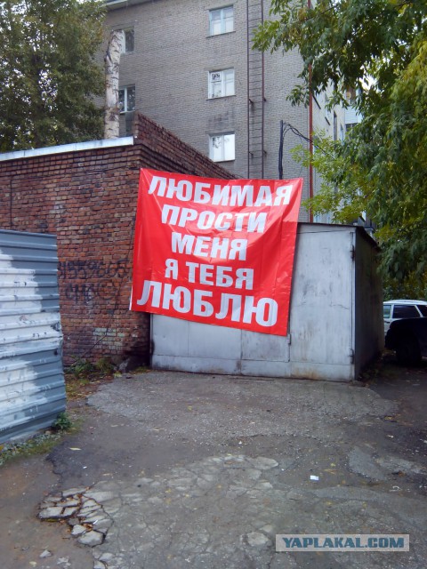 Свежая подборка прикольных картинок