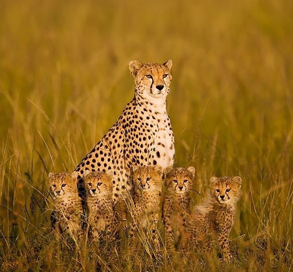 Подборка красивых фото