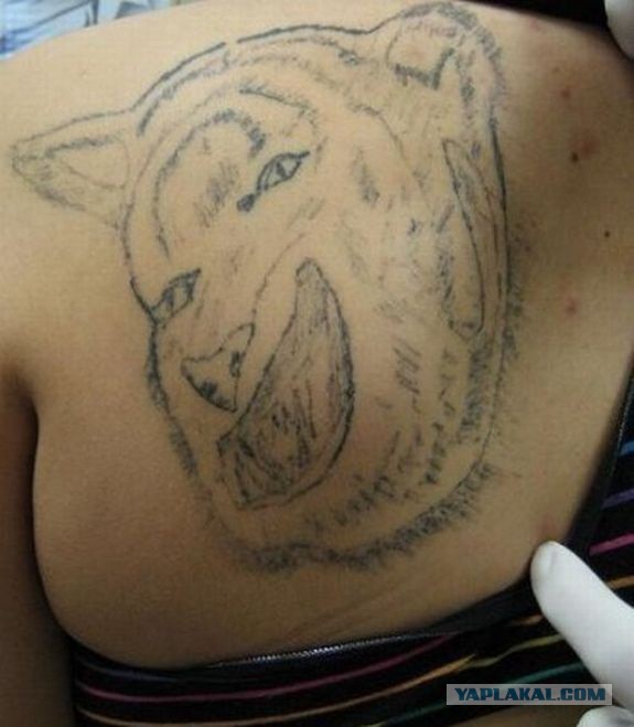 Глупые вопросы тату-мастерам