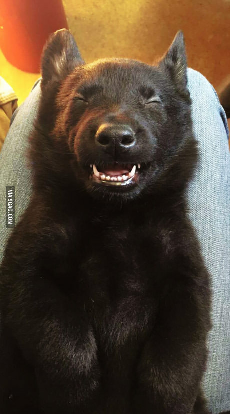 Подборка интересных и веселых фото