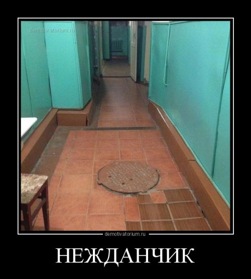 Подборка веселых демотиваторов на сегодня