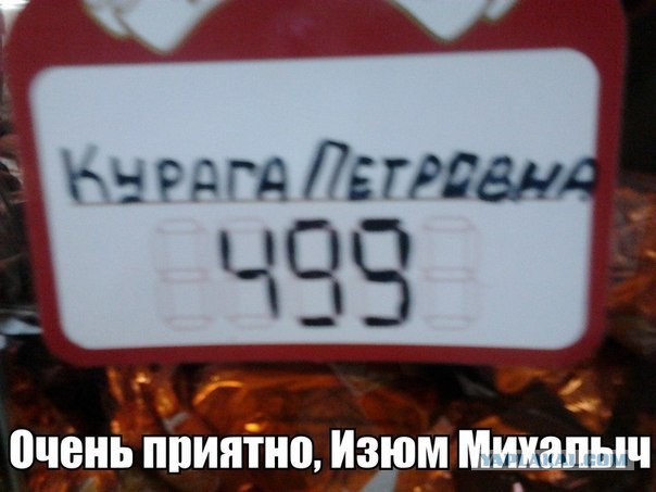 Комментарии, подписи, текстовые приколы