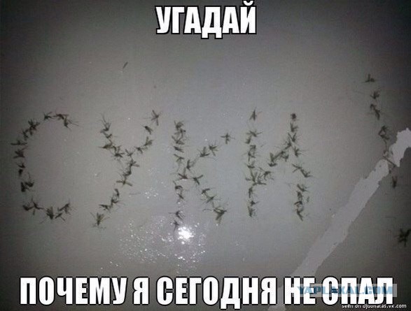 Картинки на понедельник
