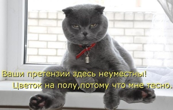 Картинки с этих ваших интернетов.