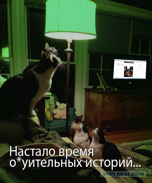 Подборка картинок и демотиваторов