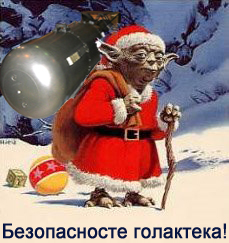 Ослик на пляже (видео)