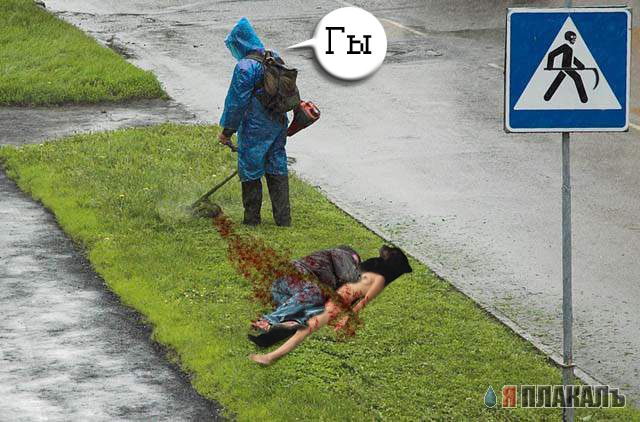 ПРЕВЕД тифчонка!!!