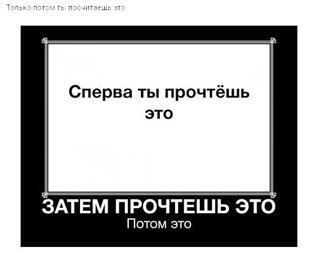Порция картинок из сети