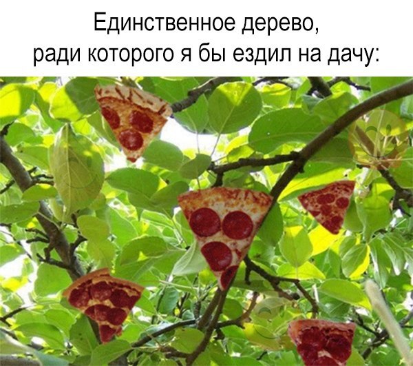 Мощная доза деградации на выходные