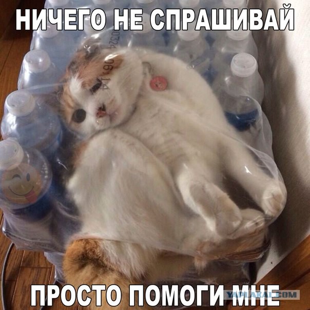 Картинки с букофками