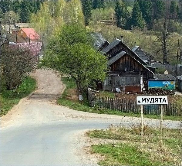 Подборка безудержного веселья