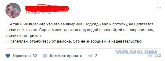 Смешные комментарии из социальных сетей 02.06.2017