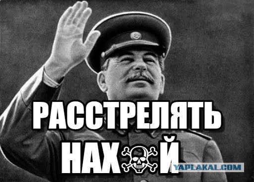 В диком мире Instagram водятся монстры
