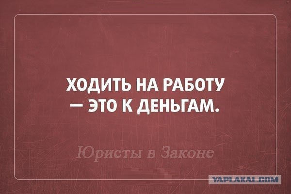 Чудики из социальных сетей