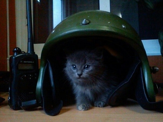 Немного милоты