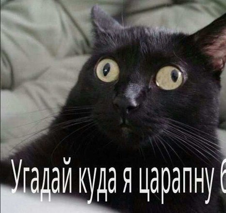 Умные мысли - 13