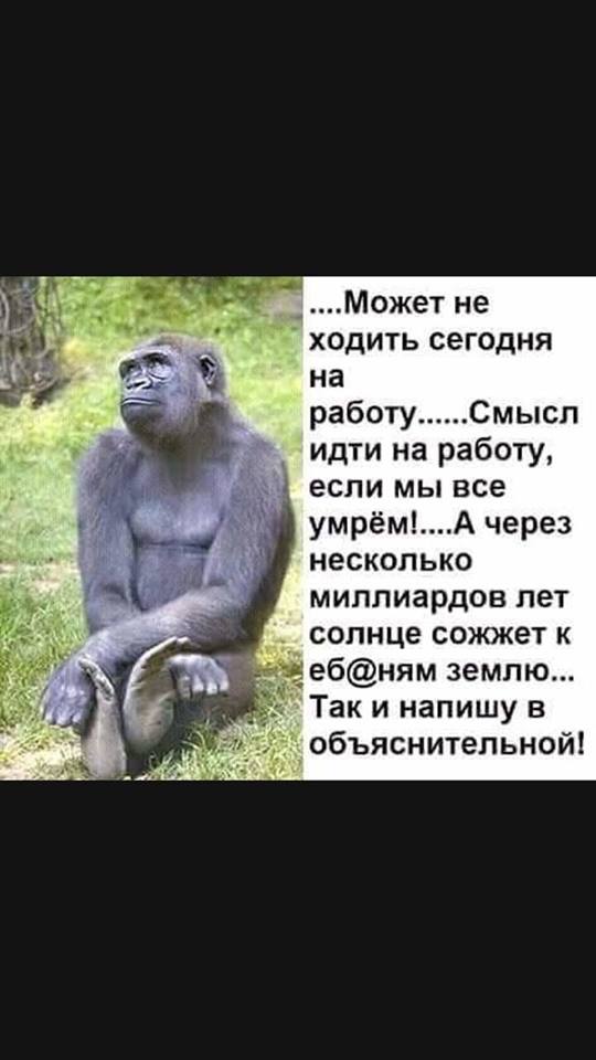 Нестандартный юмор