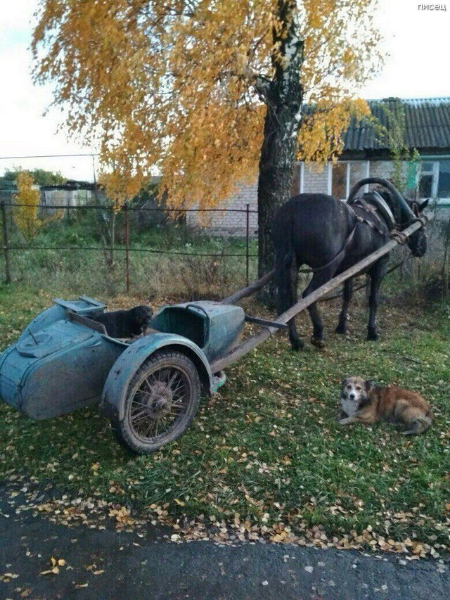 Деревенские приколы