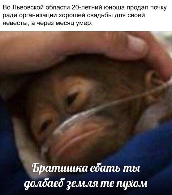 40 разных картинок 21.10.2019