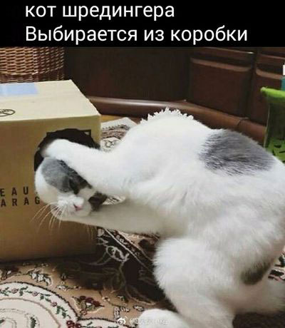 Бредзона 16.12.2020