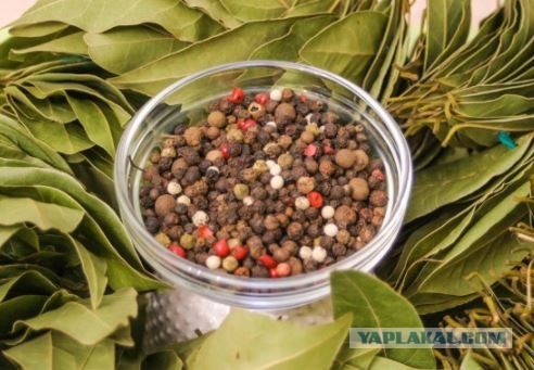 Борщ светлый