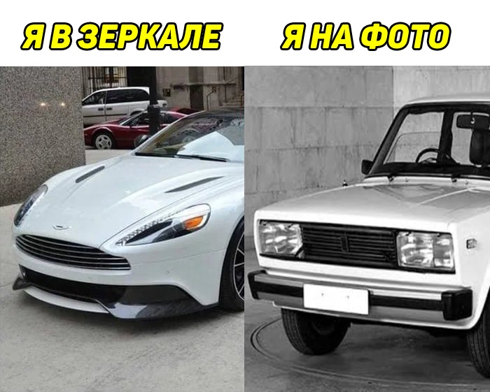 15387226.jpg