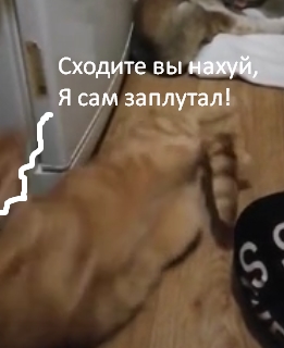 Отстань. Мне тоже не фонтан