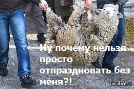 Московским мусульманам запретили проводить массовую молитву в Ураза-Байрам
