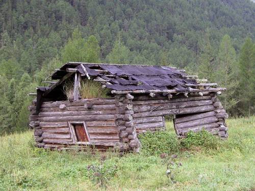 Экологичный "зеленый" небоскреб (6 фото)