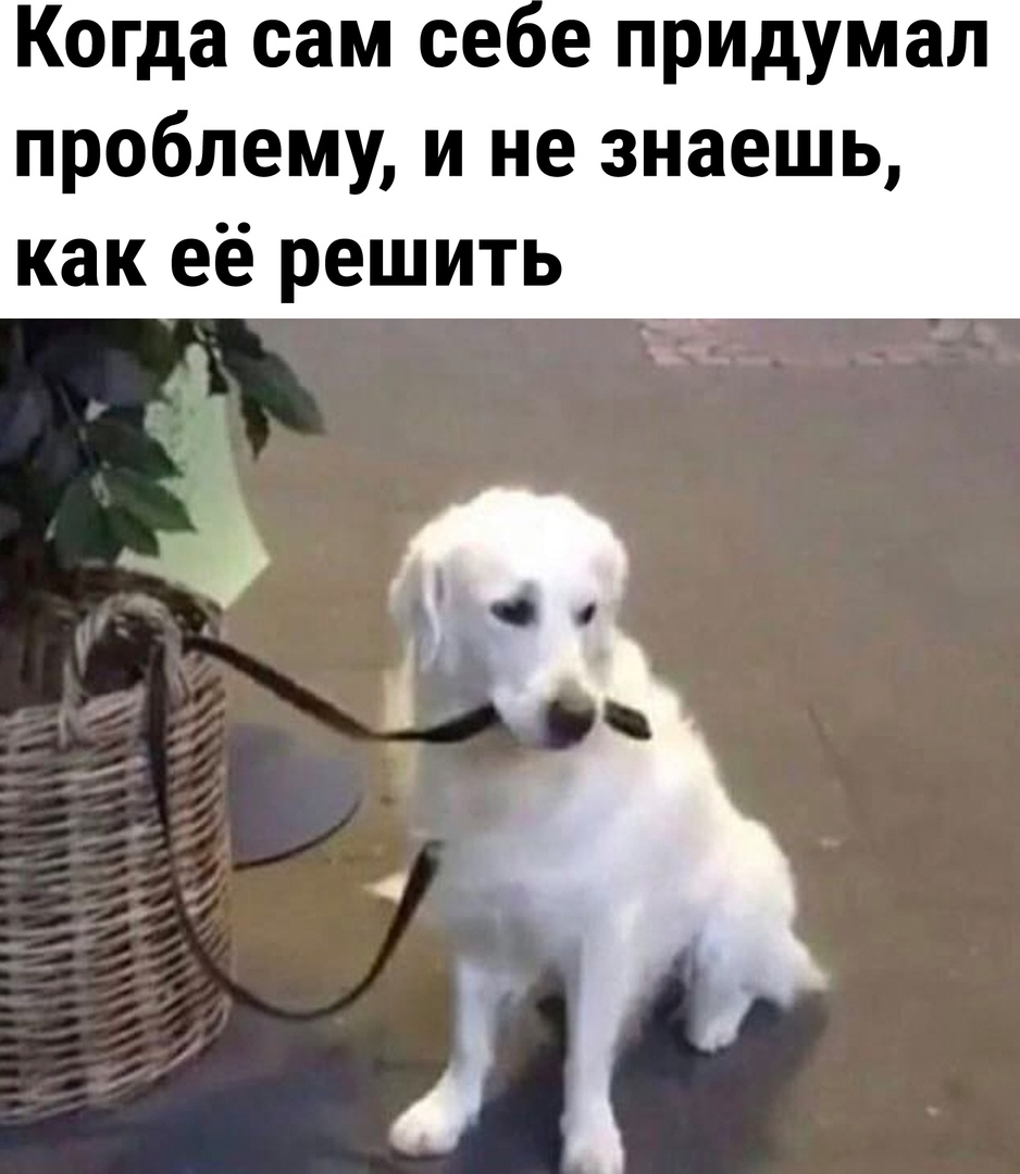 16764226.jpg