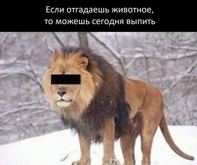 Нестандартный пост в пятницу