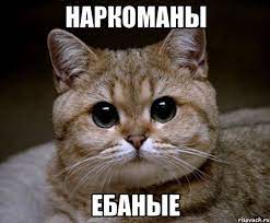 Окно Эймса